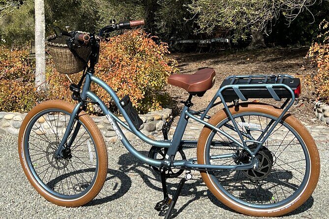 Electric Bike Rental in Livermore - Practical Details