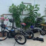 Electric bike rental in Puerto Escondido, Oax, - The Details of the Experience