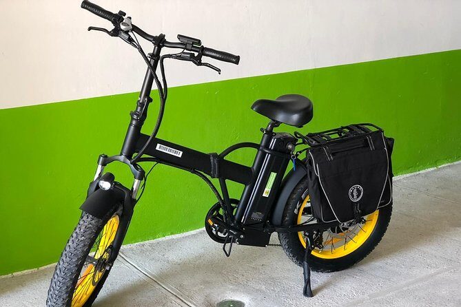 Electric Bikes Per Day - Who Will Love This Experience?