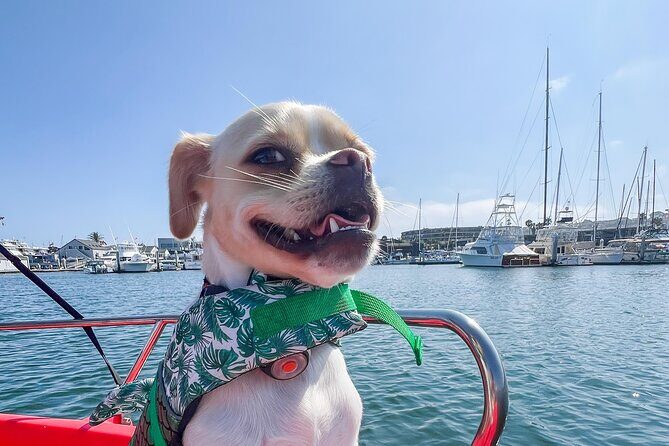 Electric boat Rentals in San Diego Bay. Family friendly boating - Final Thoughts