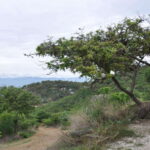 Electric Mountain bike in Oaxaca - What the Tour Entails