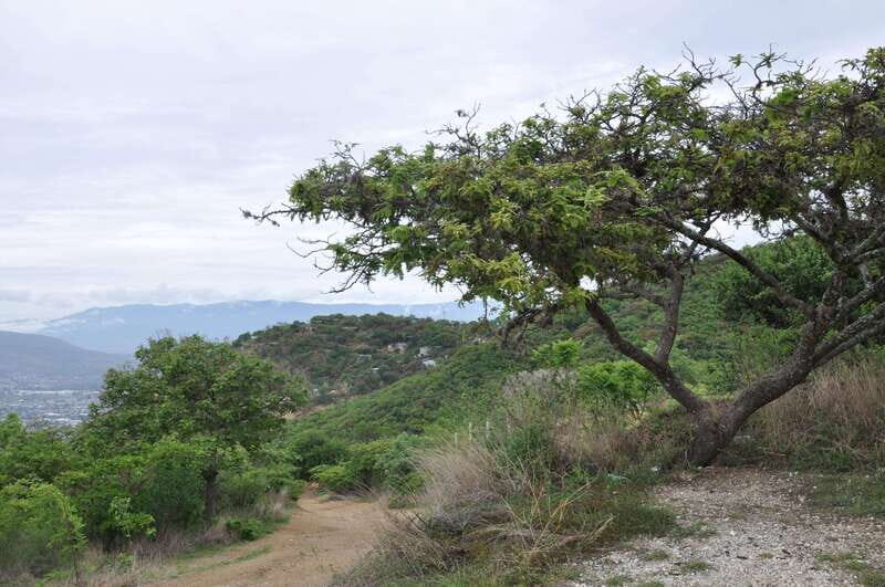 Electric Mountain bike in Oaxaca - What the Tour Entails