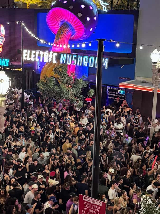 Electric Mushroom: Nightclub VIP Entry & Free Cocktail - The Unique Atmosphere and Visuals