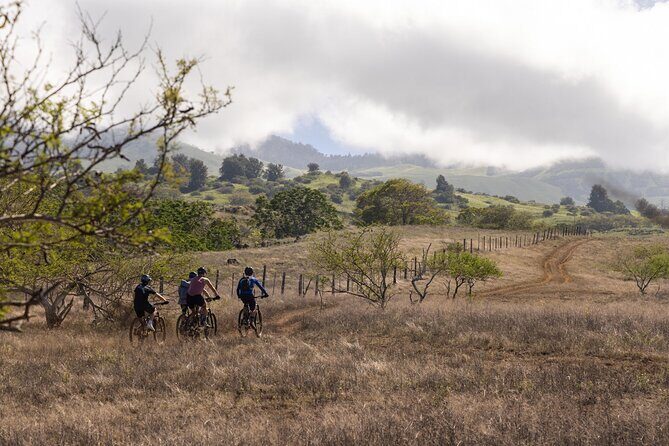 Emountain Bike Tour Maui | Experience Tour  Private Ranch - The Itinerary: What to Expect and Why It Matters