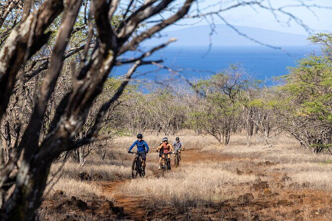 Emountain Bike Tour Maui | Grand Tour  Private Ranch - What Past Riders Say (Based on Reviews)