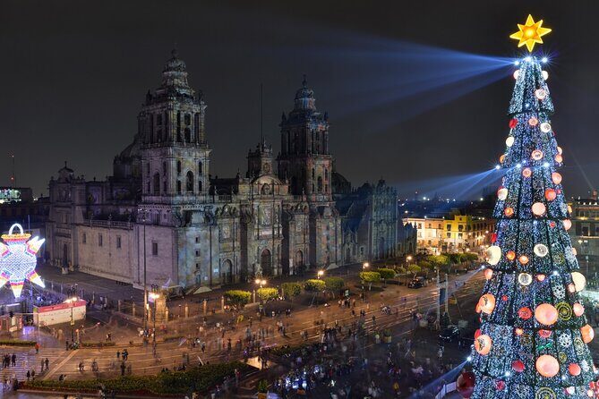 Enchanted Christmas Private Walking Tour in Mexico City - Who Should Consider This Tour?