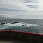 Enjoy La Bufadora and eat the best tacos! - The Tacos Experience: Lidia’s Tacos