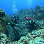 Enjoy two dives without previous experience with a boat trip - Setting the Scene: What the Tour Offers