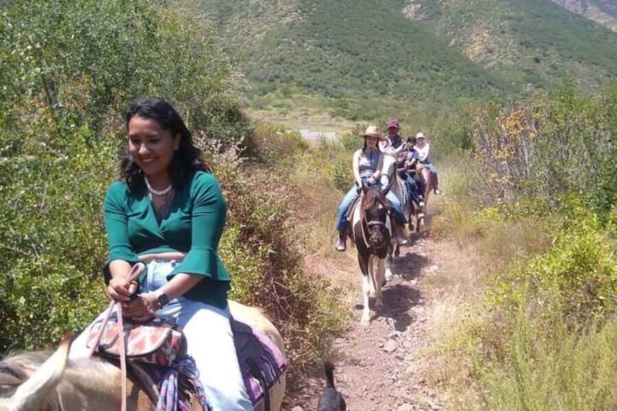 Ensenada: Bajas Hidden Trails: Horseback Ride w/ Ocean View - Final Thoughts