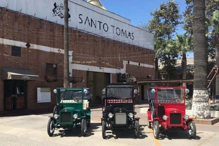 Ensenada: City Tour in a Ford Model T with Margarita & Wine - What to Expect During the Tour