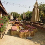 Ensenada: Guadalupe Valley Wine Route Private Tour - Authenticity and Value