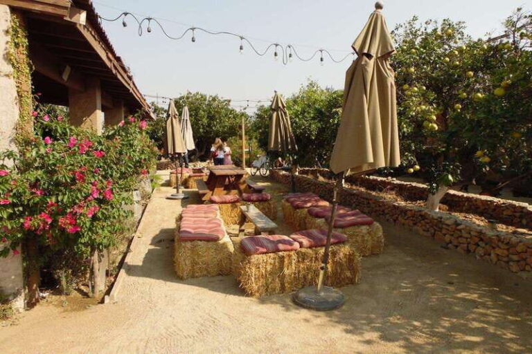 Ensenada: Guadalupe Valley Wine Route Private Tour - Authenticity and Value