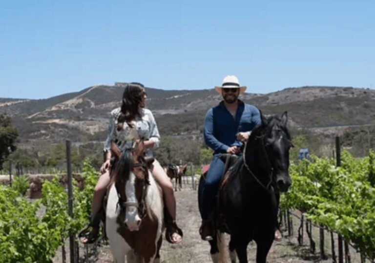 Ensenada: Horseback Riding at the Vineyards - Authenticity and Comfort