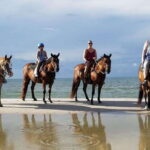 Ensenada: Horseback riding in the beach - The Beach Ride: What to Expect