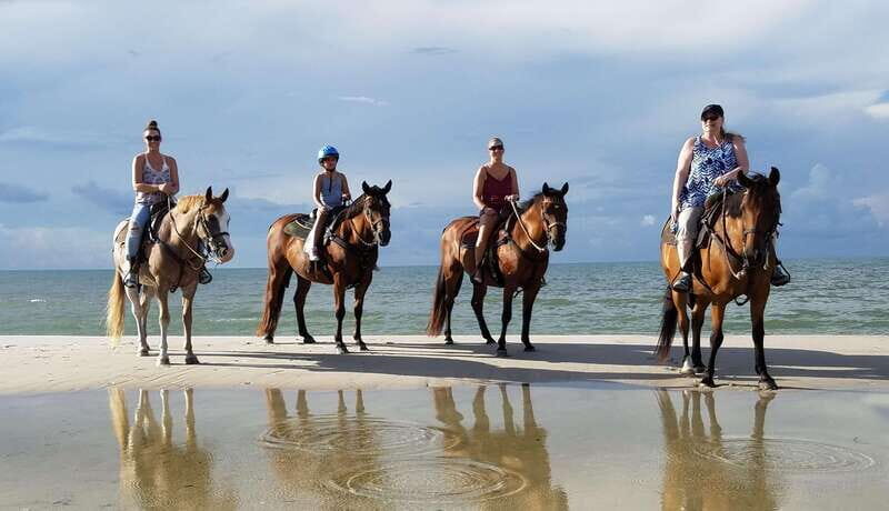 Ensenada: Horseback riding in the beach - The Beach Ride: What to Expect
