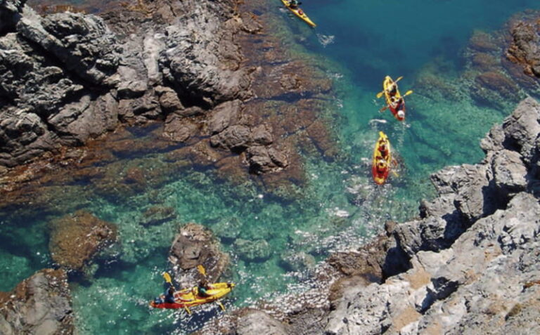 Ensenada: Kayaking at La Bufadora - Who this tour is perfect for