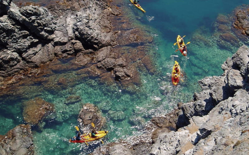 Ensenada: Kayaking at La Bufadora - Who this tour is perfect for