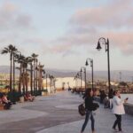 Ensenada Shore Excursion: Wine and Cheese Tour with Lunch in Ojos Negros Valley - Authenticity & Authentic Experiences