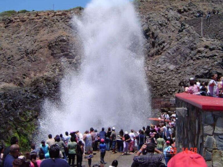 Ensenada : The unique bufadora private tour - What Makes This Tour Stand Out?