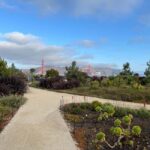 Epic San Francisco Views Urban Hiking Tour  City and Nature - Who Will Love This Tour?