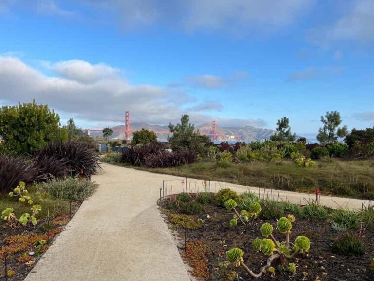 Epic San Francisco Views Urban Hiking Tour  City and Nature - Who Will Love This Tour?