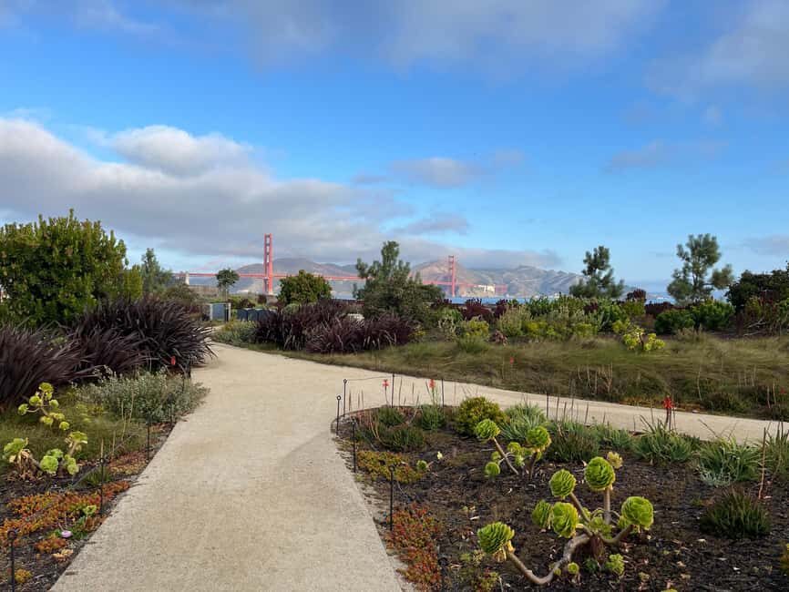 Epic San Francisco Views Urban Hiking Tour  City and Nature - Who Will Love This Tour?