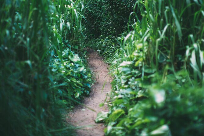 Epic Waterfall Adventure, the Best of Maui - The Guides: What Sets Them Apart