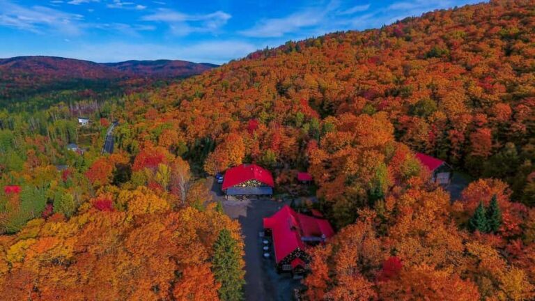 Érablière Lac Beauport: Guided tour with maple product tasting - The Value of the Tour