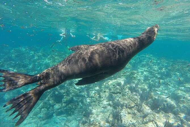 Espiritu Santo Island Day Tour - Final Thoughts: Is This Tour Right for You?