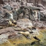 Espiritu Santo Island Full-Day Cruise with Snorkeling and Lunch! Round Trip - Final Thoughts: Who Will Love This Tour?