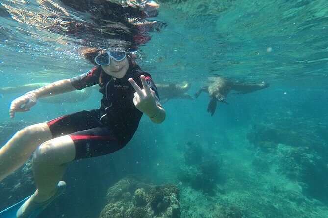 Espíritu Santo Island snorkel and sightseeing tour on Small Group - What We Loved About This Tour