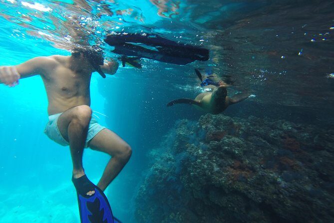 Espiritu Santo Island Snorkel & Sea Lion Adventure - Considering the Cost & Value