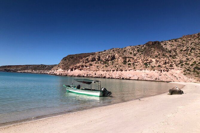 Espiritu Santo Private SCUBA Tour for Beginners - What the Reviews Say