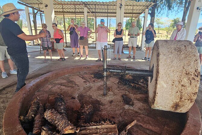 Essential Oaxaca:Tule, Tlacochahuaya, Teotitlán del Valle, Mezcal - What to Expect: An In-Depth Journey Through Oaxaca’s Hidden Gems
