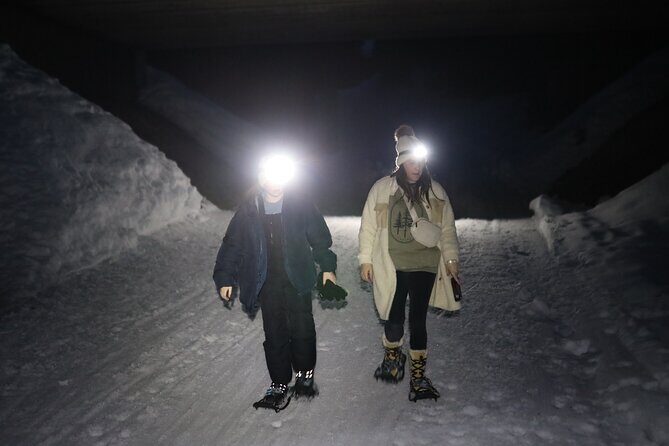 Evening Snowshoeing / Cross-country skiing Experience - What Travelers Say
