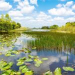 Everglades Airboat Adventure and Biscayne Bay Boat Tour - The Practical Side: What’s Included and What’s Not