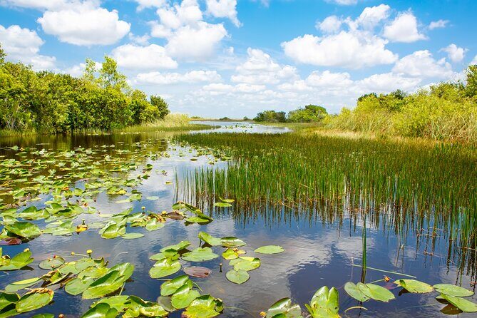 Everglades Airboat Adventure and Biscayne Bay Boat Tour - The Practical Side: What’s Included and What’s Not