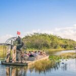 Everglades Airboat Tour from Miami w/ Park Entry & Transport - Is This Tour Worth It?