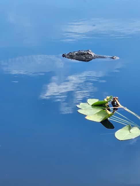 Everglades Eco Airboat Tour small group & top transportation - A Genuine Look at the Everglades in a Small Group Setting