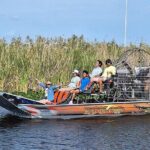 Everglades Florida Airboat Tour - The Sum Up: Who Should Book This Everglades Airboat Tour?