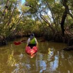 Everglades Kayak & Canoe Rentals - Who Should Book This Tour?
