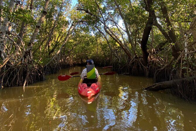Everglades Kayak & Canoe Rentals - Who Should Book This Tour?