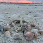 Everglades Pirate and Beach Adventure - Who Will Love This Tour?