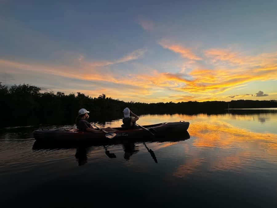 Everglades: Private Kayak Tour with Guide - What Makes This Tour Stand Out?