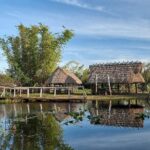 Everglades Tour w/ Biologist Led WET walk + 2 Boat Trips + Lunch! - Authentic Experiences & Highlights