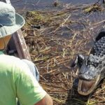 Everglades Tour with 2 Boat Rides, Hike and Lunch - Who Will Love This Tour?