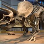 Exclusive Drumheller Private Tour from Calgary - Key Points