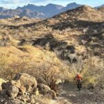 Exclusive Ebike Adventure in Nopolo National Park - Detailed Breakdown of the Tour Experience