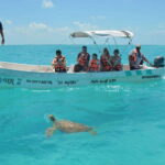 Exclusive Full Day Nature Expedition in Sian Ka'an - Who Will Love This Tour?
