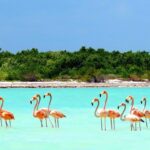 Exclusive Holbox: Yalahau, Punta Mosquito and Isla Pasion - A Closer Look at the Itinerary